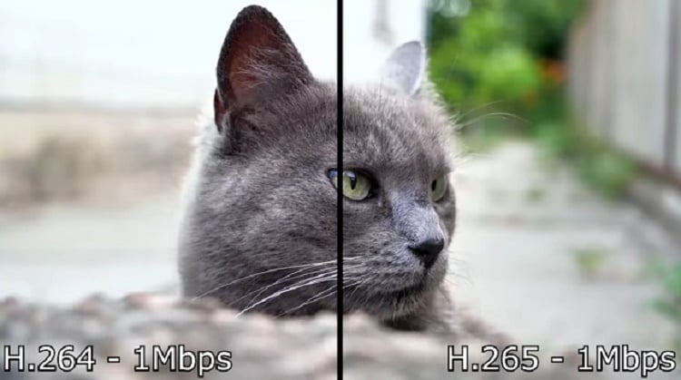 comparison between avc and hevc