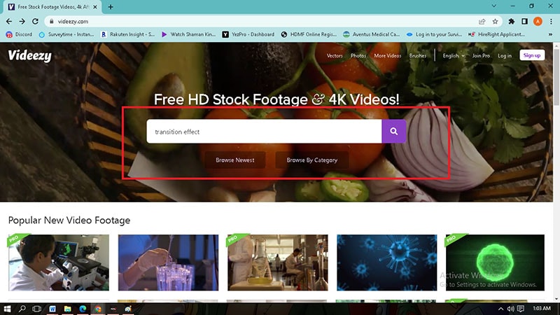 videezy after effects free download