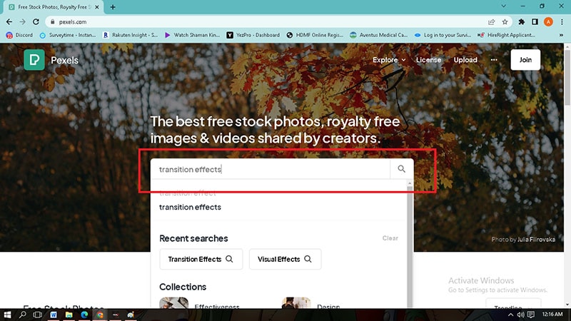 search effects in pexels
