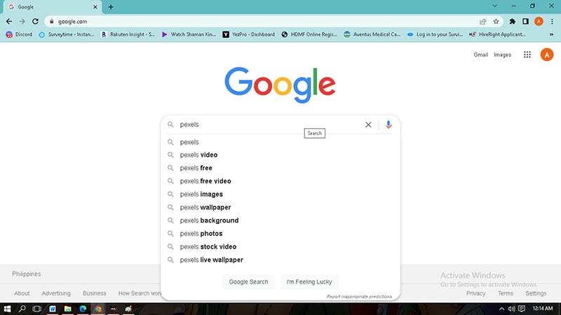 pexels bei Google suchen