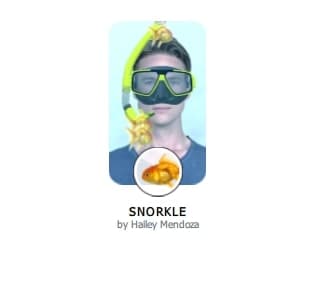 snorkle filter