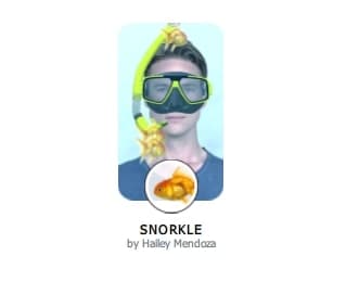 filtro de snorkel