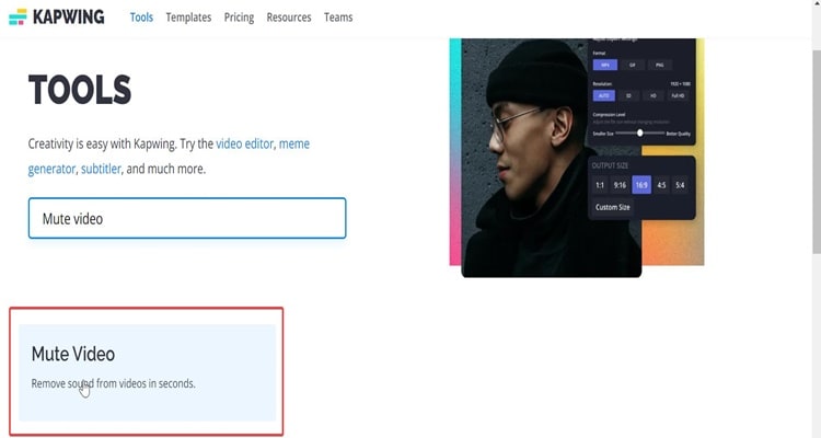 kapwing mute audio step 2