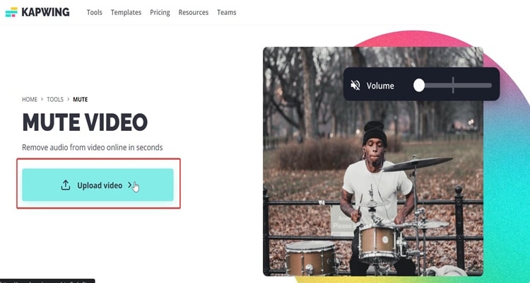 kapwing mute audio step 3