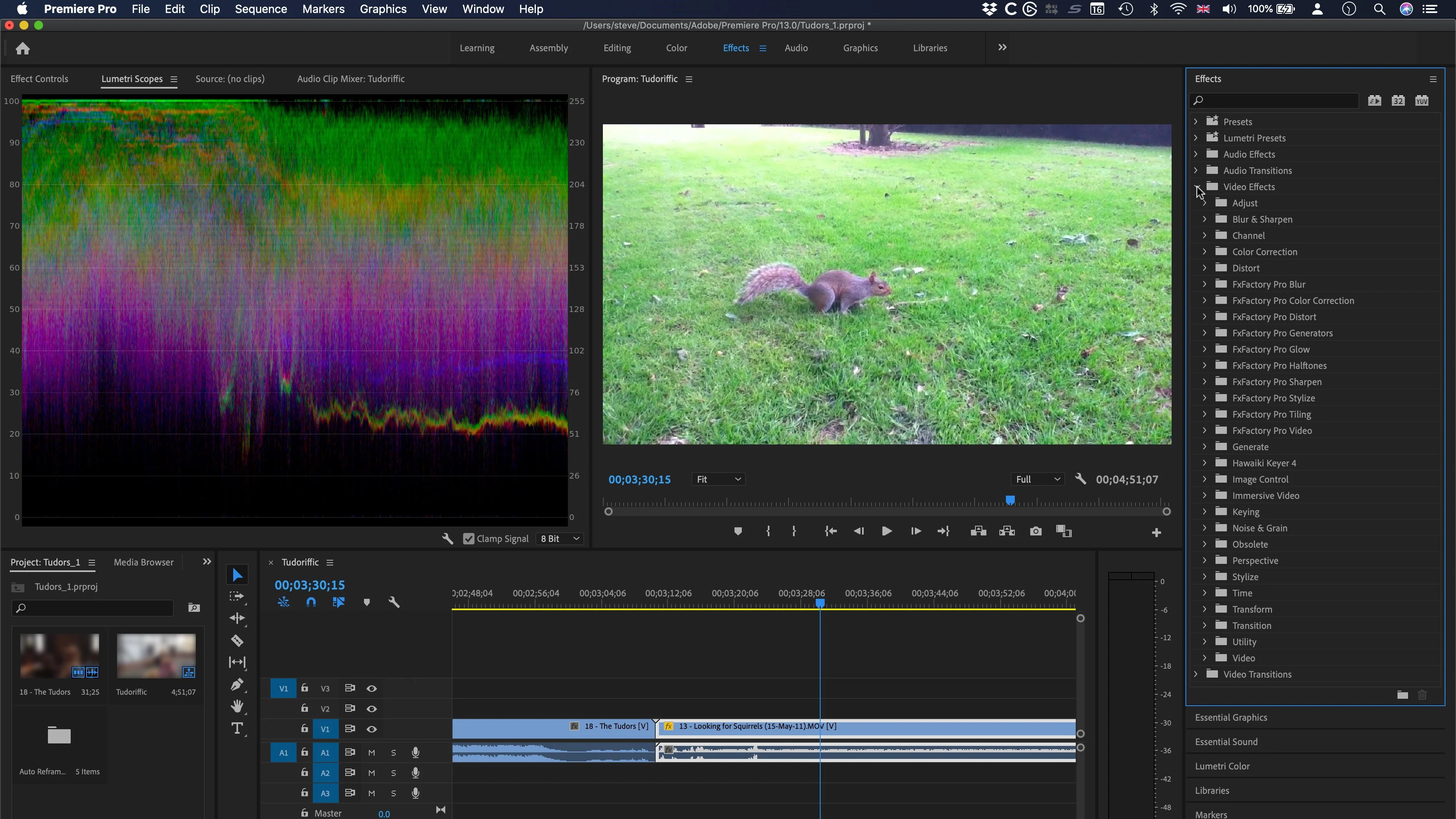 Interfaccia Adobe Premiere Pro