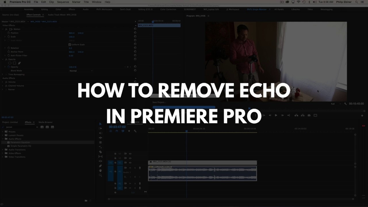 remove echo in premiere pro