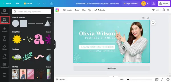  add different canva elements