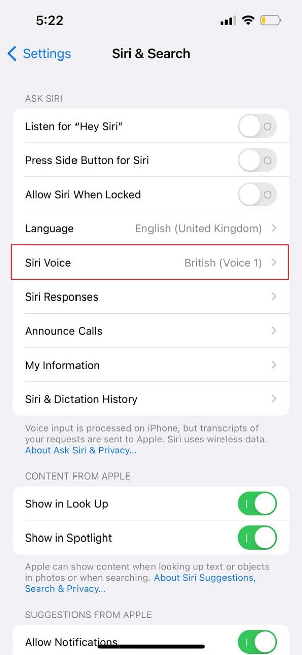 Zugriff auf die Siri-Sprachoption