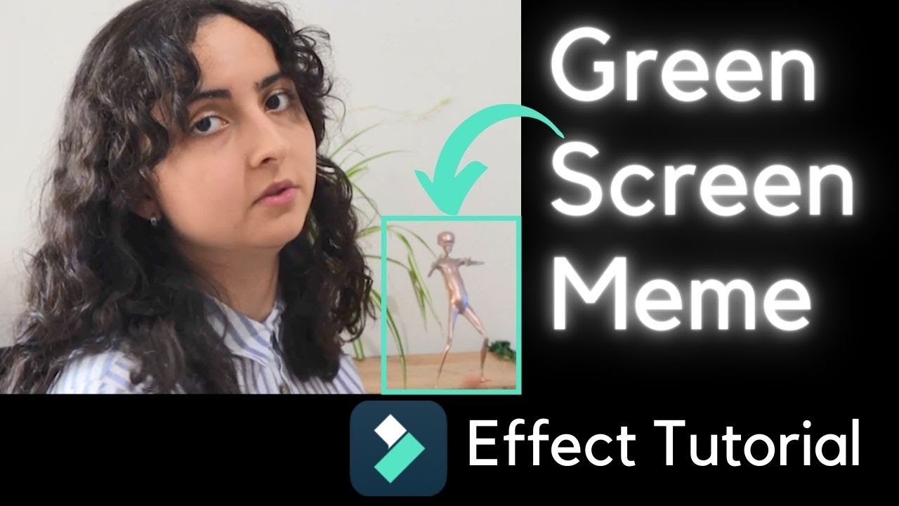 Create Meme with Green Screen Meme Effect