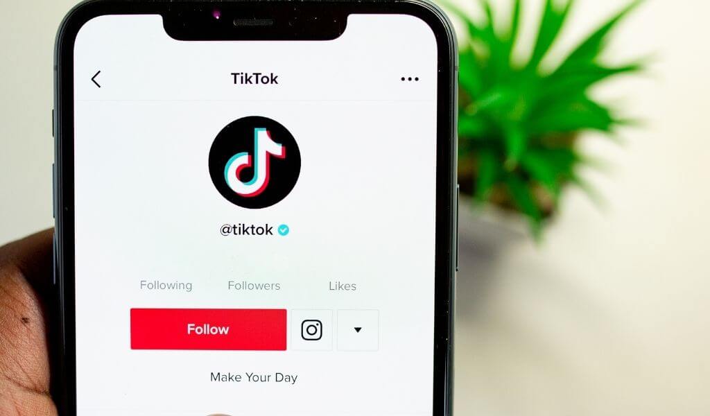 Best of tiktok - Best of tiktok updated their profile picture.