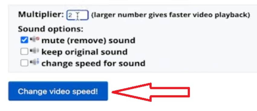 change video speed in canva tool