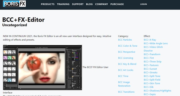 bcc fx editor for radial blur