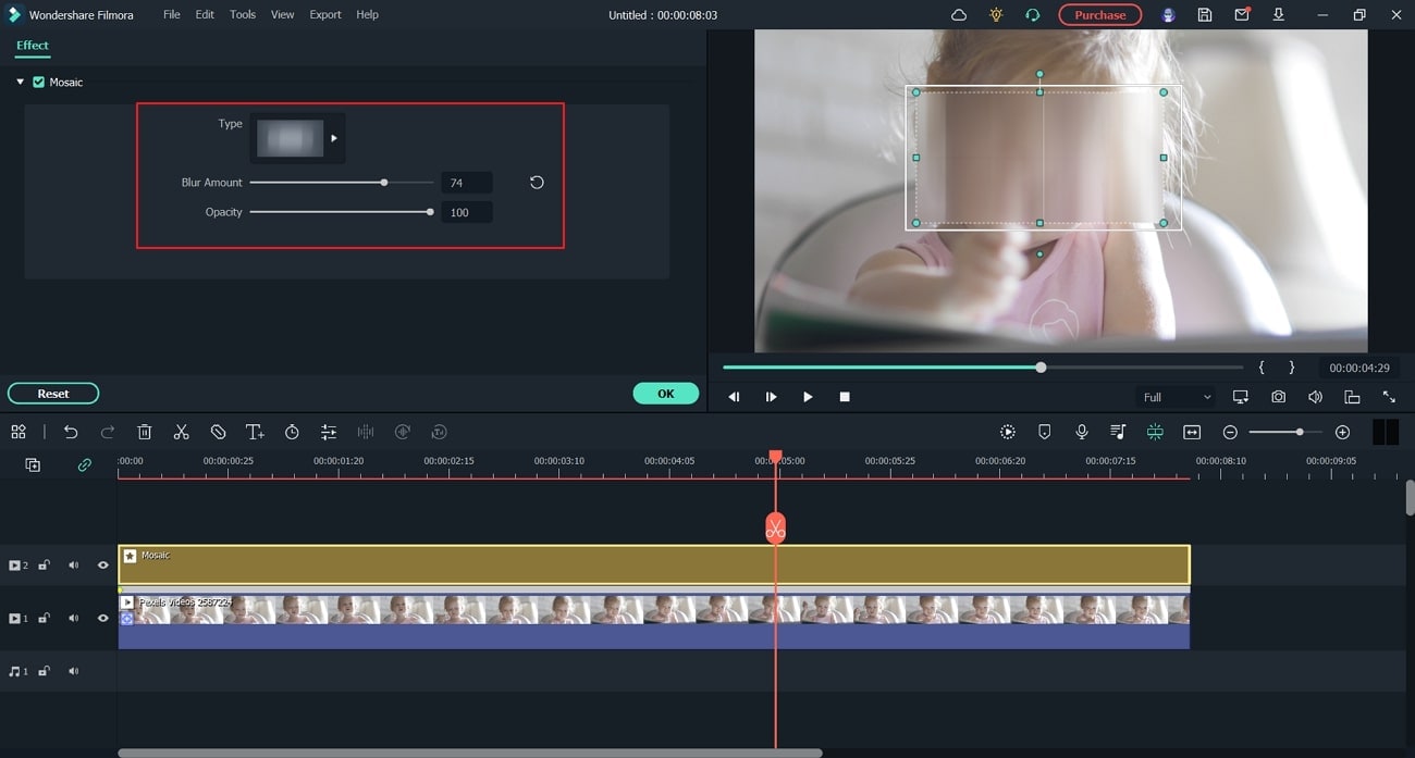 customize mosaic blur settings