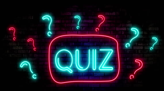what is a quiz video