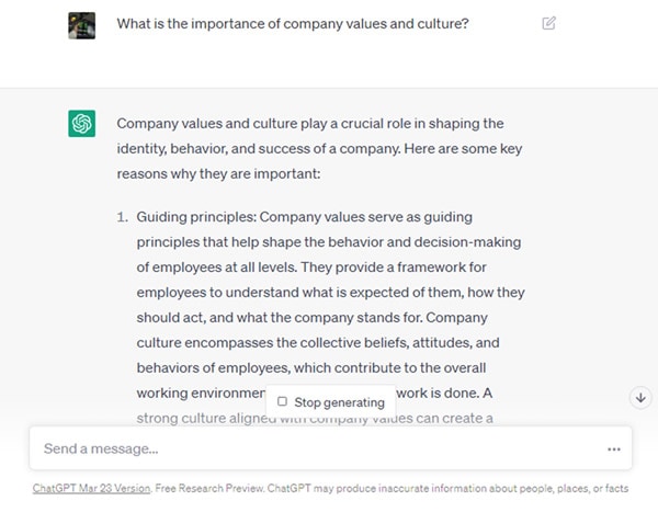 chatgpt company values and culture