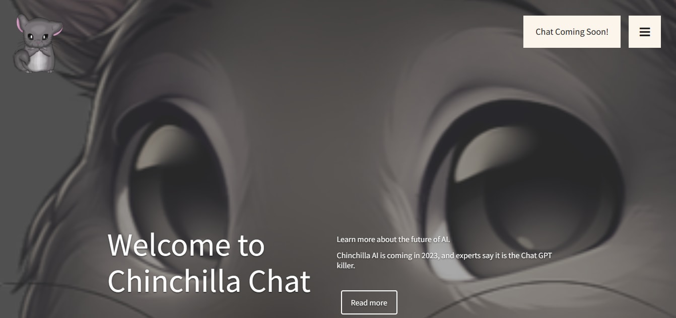 sitio web oficial de chinchilla
