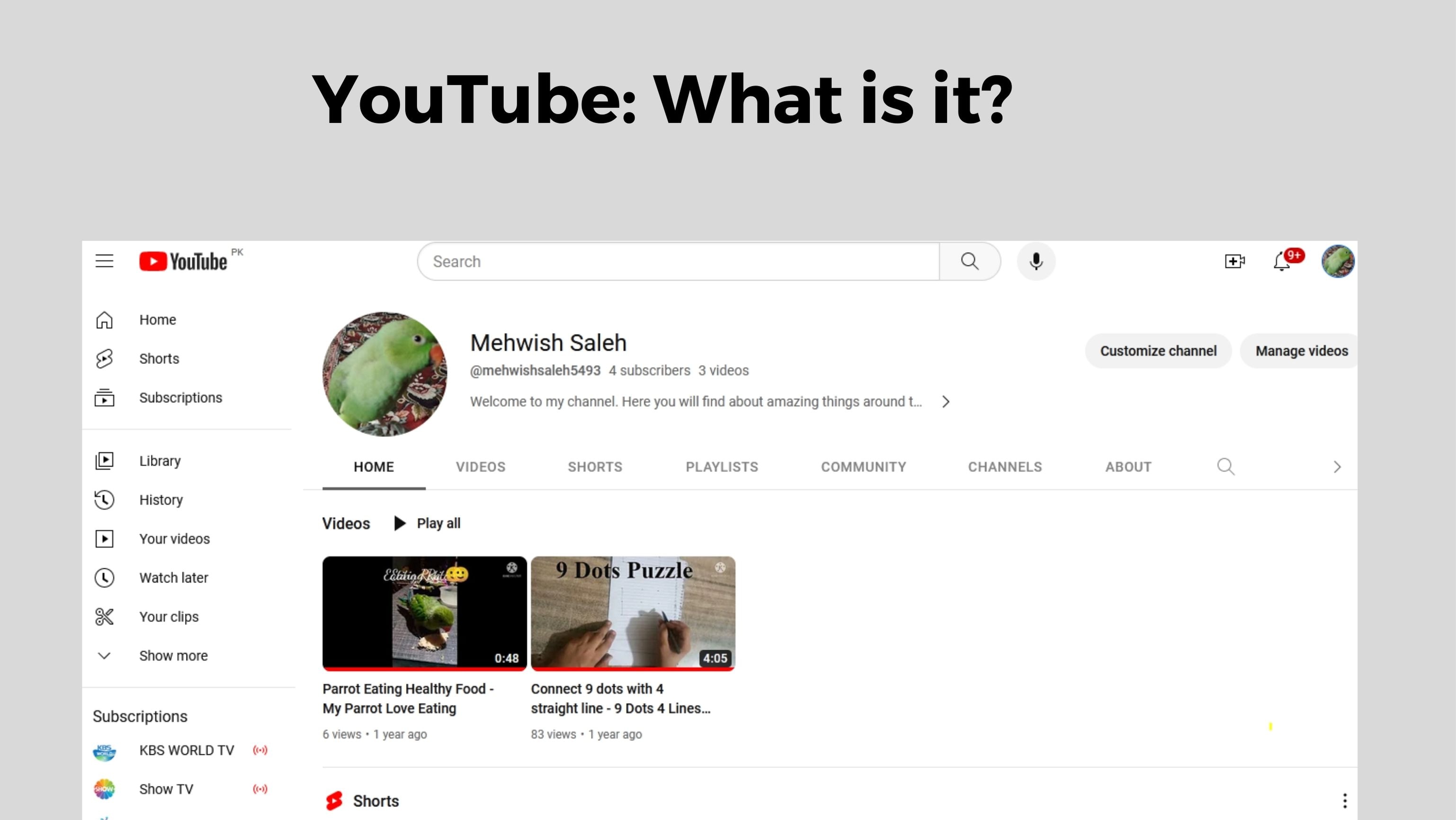youtube: what is it