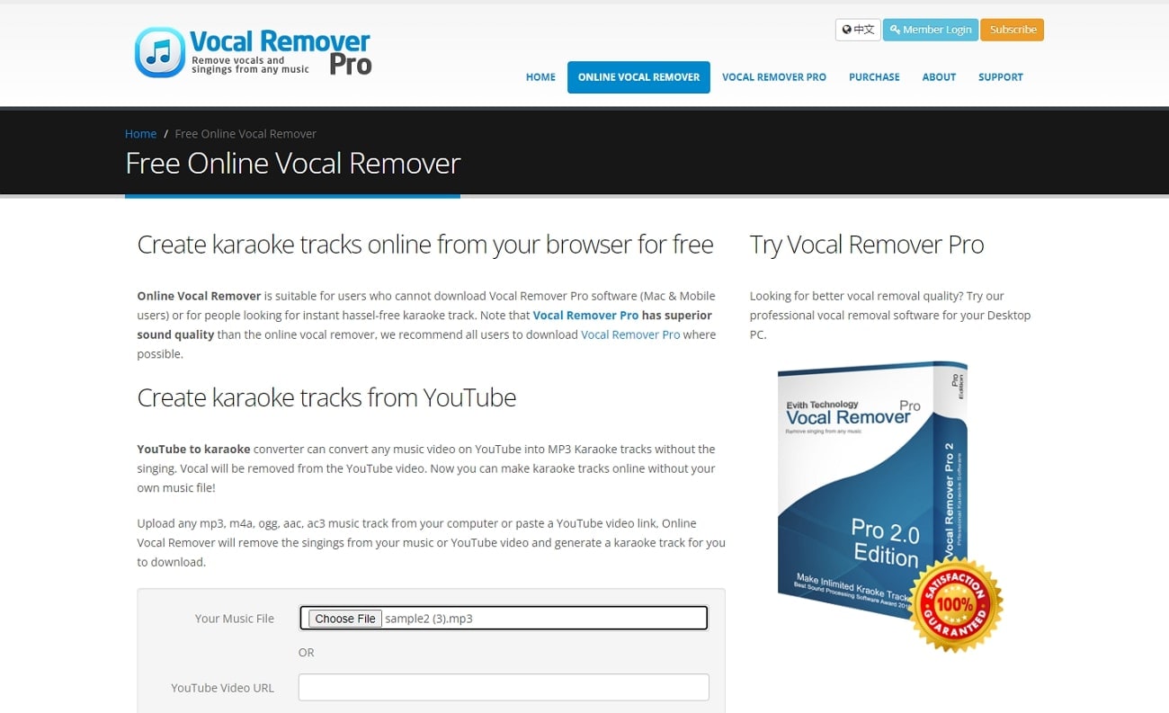 vocal remover pro online