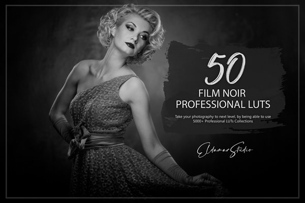 pacote de modelos e luts de filme noir