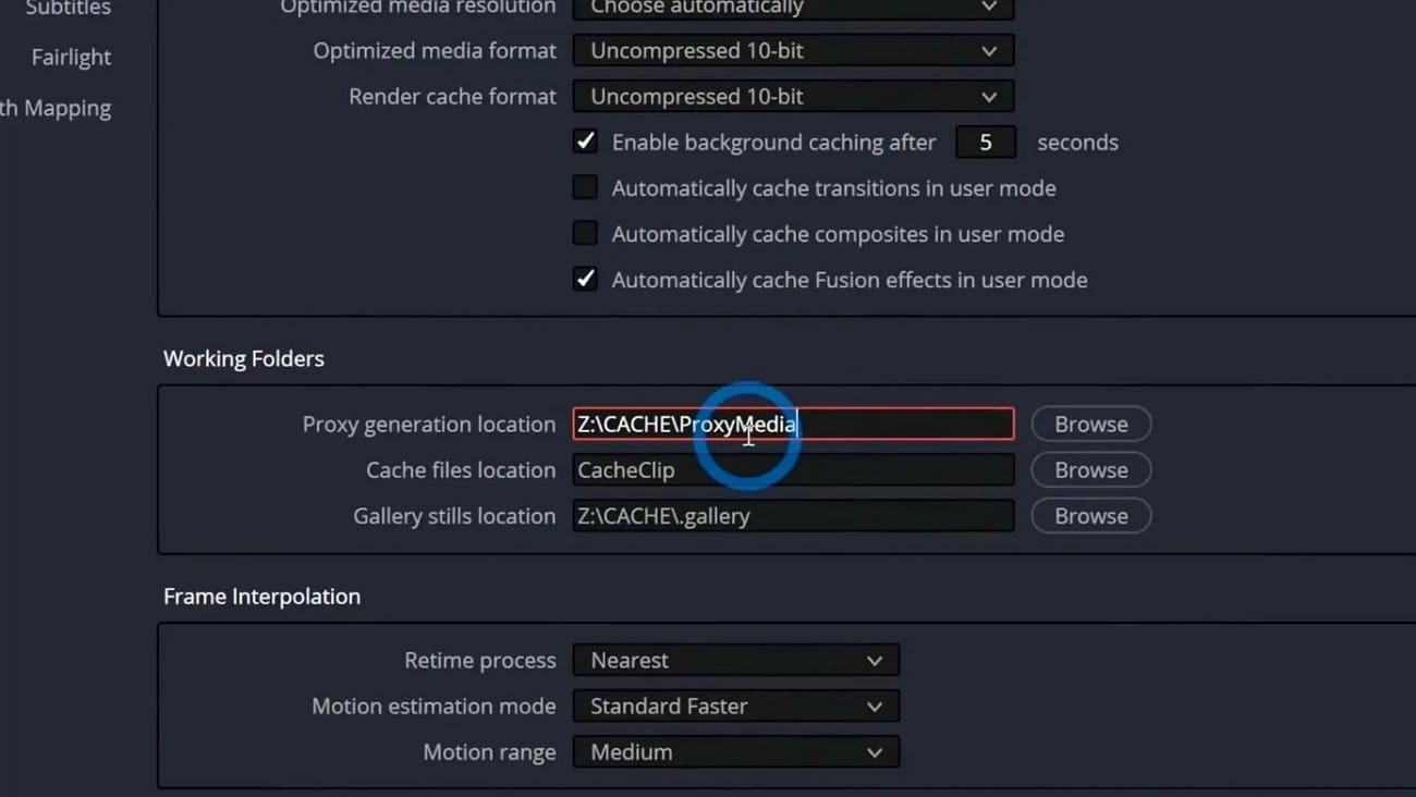 utilizzare la riproduzione lenta dei file proxy