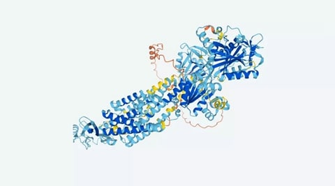 alphafold malaria 3d protein