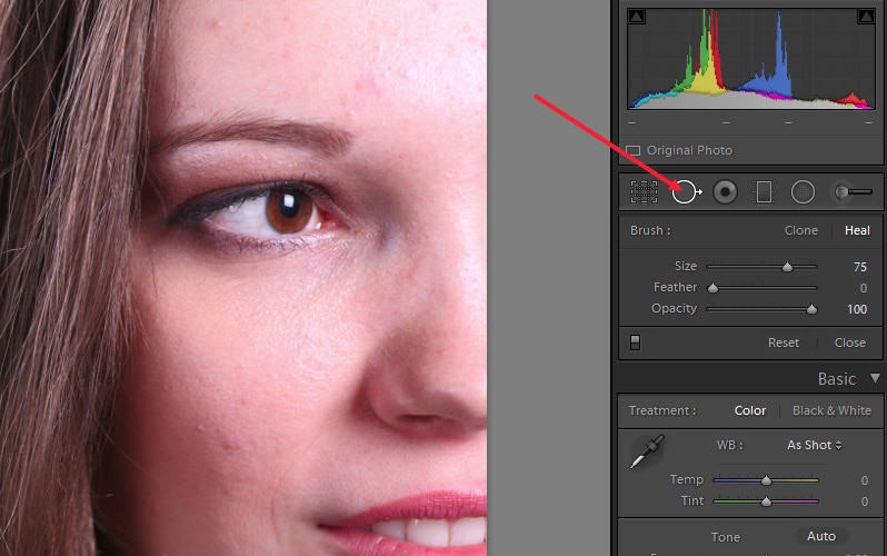 lightroom tool spot removal