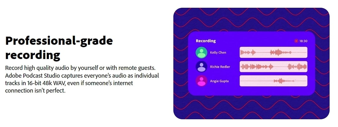 remote aufnahme adobe ai voice