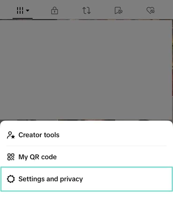 access settings and privacy section