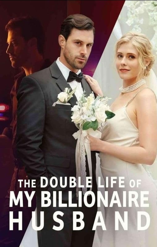 double life of my billionaire husband