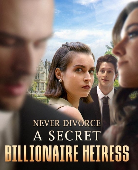 never divorce a secret billionaire heiress