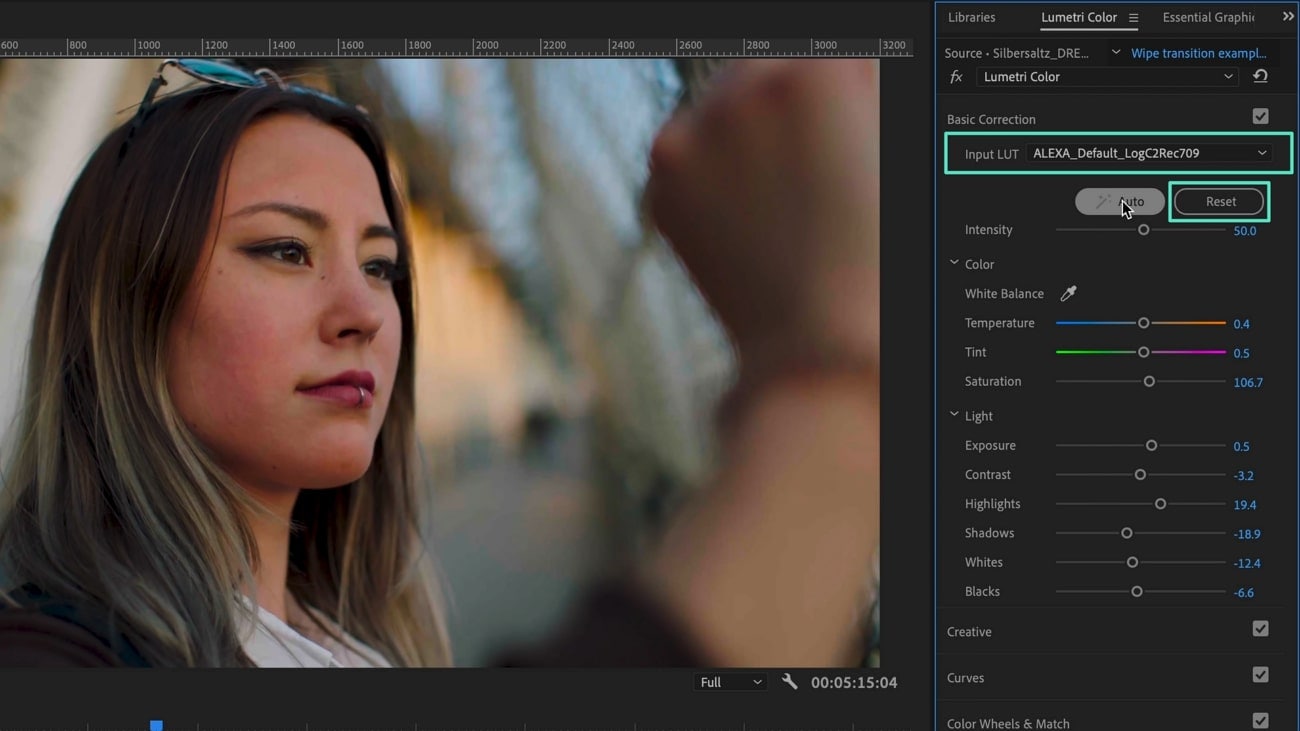 The Ultimate Guide to Premiere Pro Color Correction