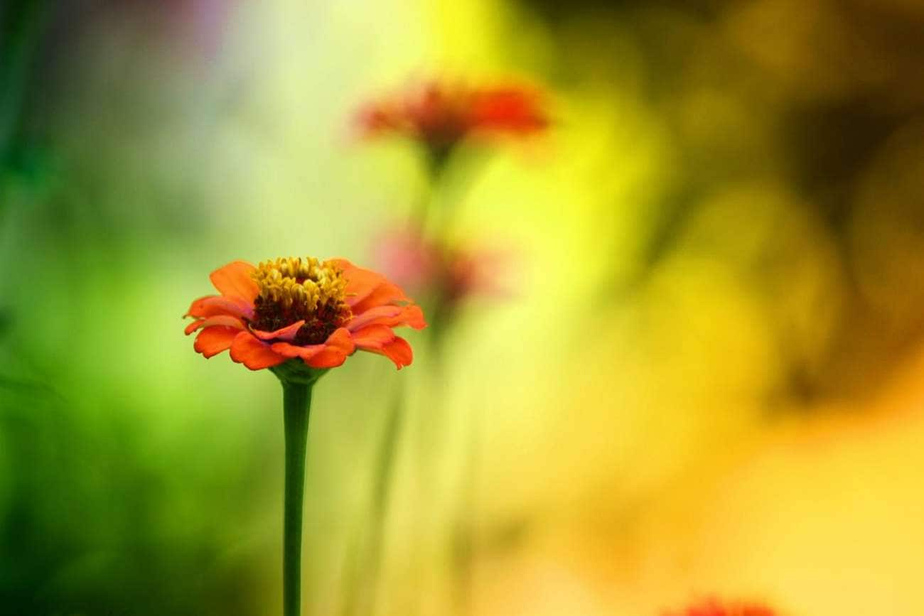 Fotografie mit größerer Blende