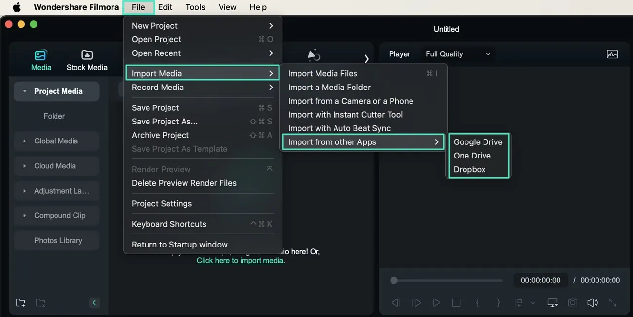 access importing option