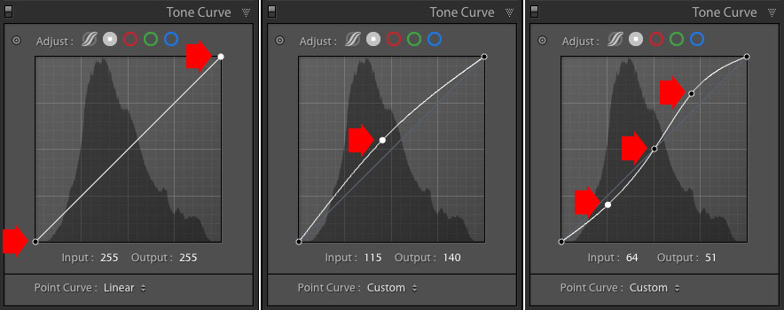 adobe lightroom’s curves panel