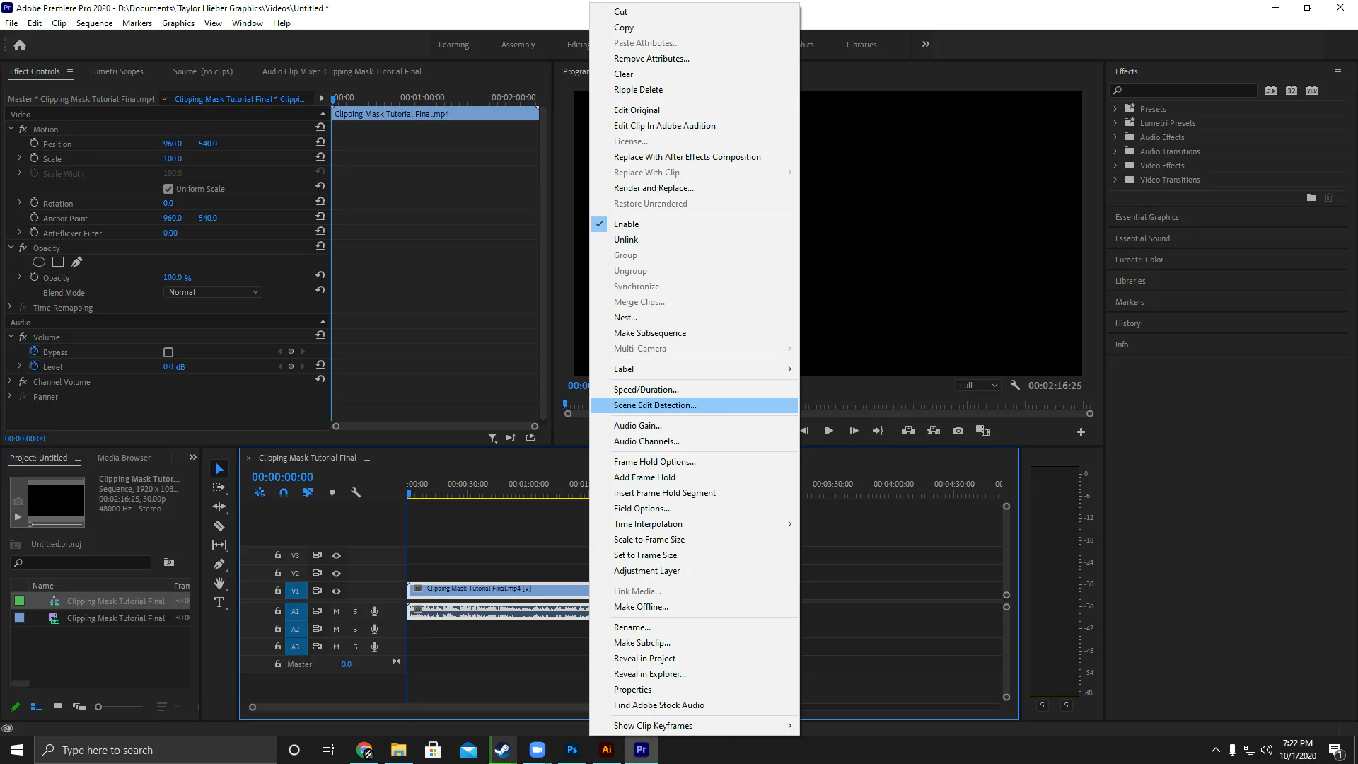 verify scene edit detection option 