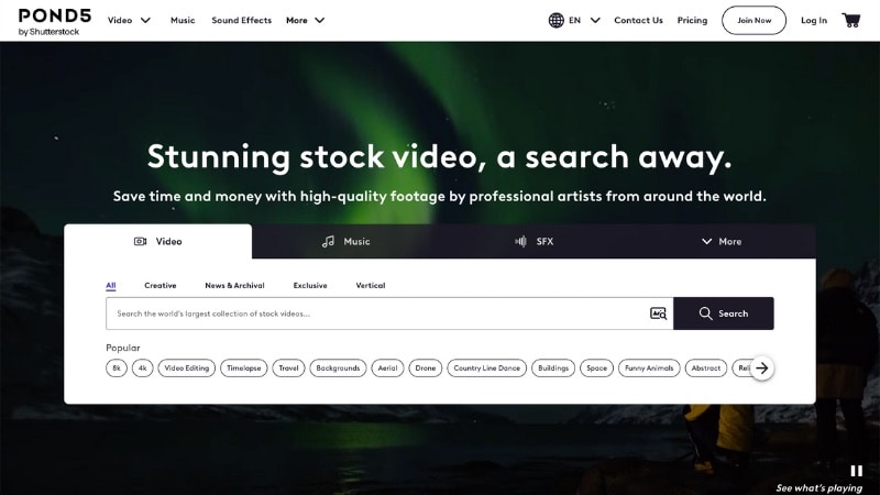 find 3d logo template in pond5