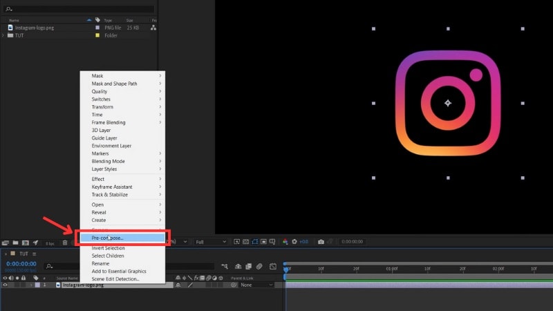 add your logo and pre composed it