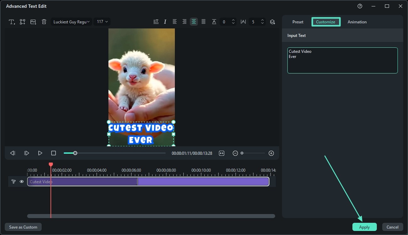 customize input text and hit apply