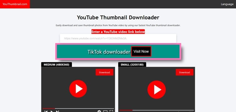 YouTube Thumbnail Grabber (grappin de vignettes)