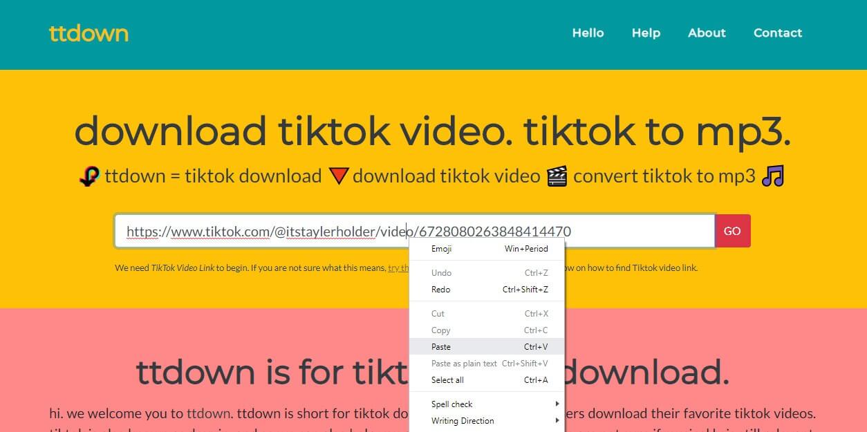 tiktok video downloader