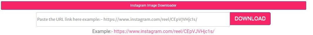 expertsphp instagram reels downloader