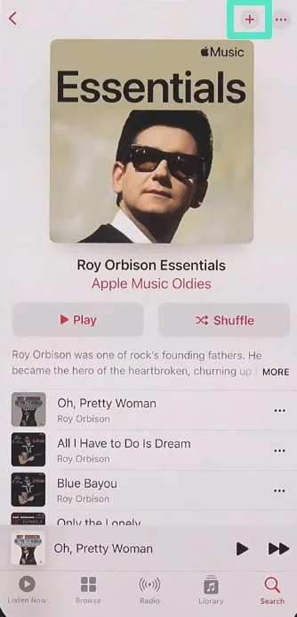 access apple music library