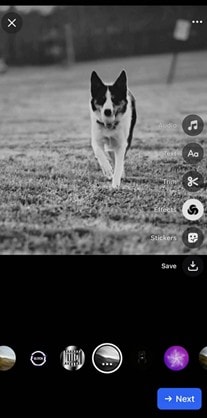 meta filter options