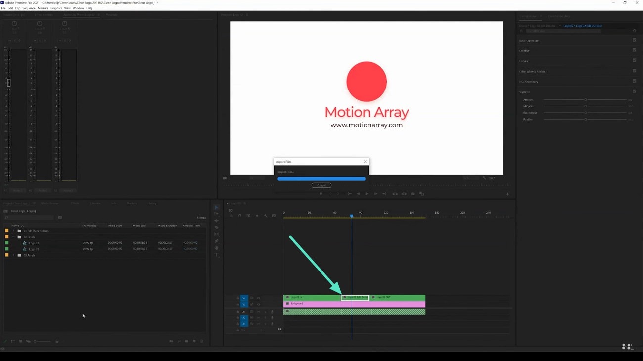 import motion template