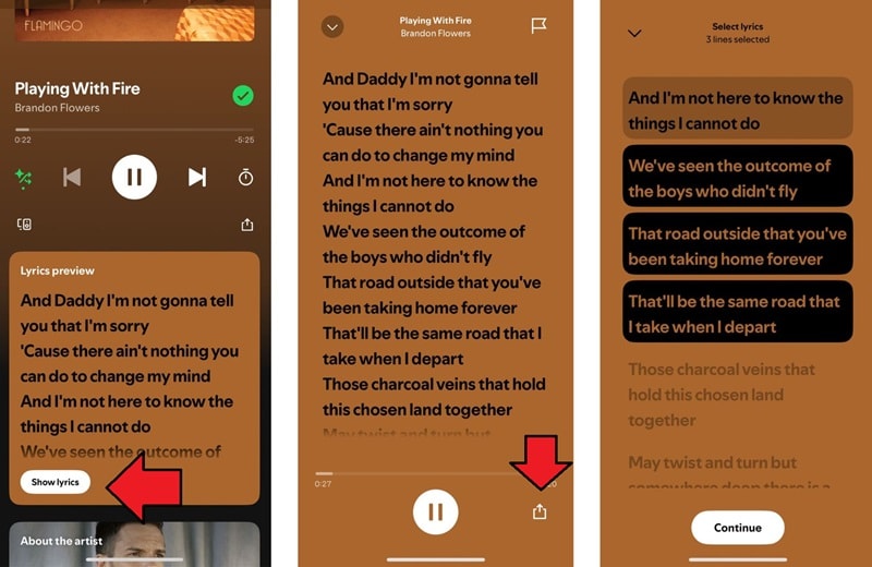 open the song lyrics on spotify