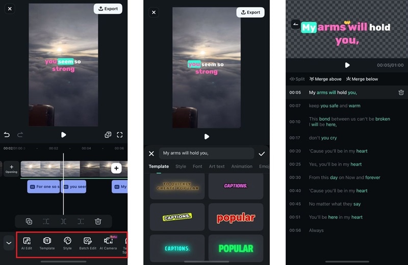 customize the lyrics on video