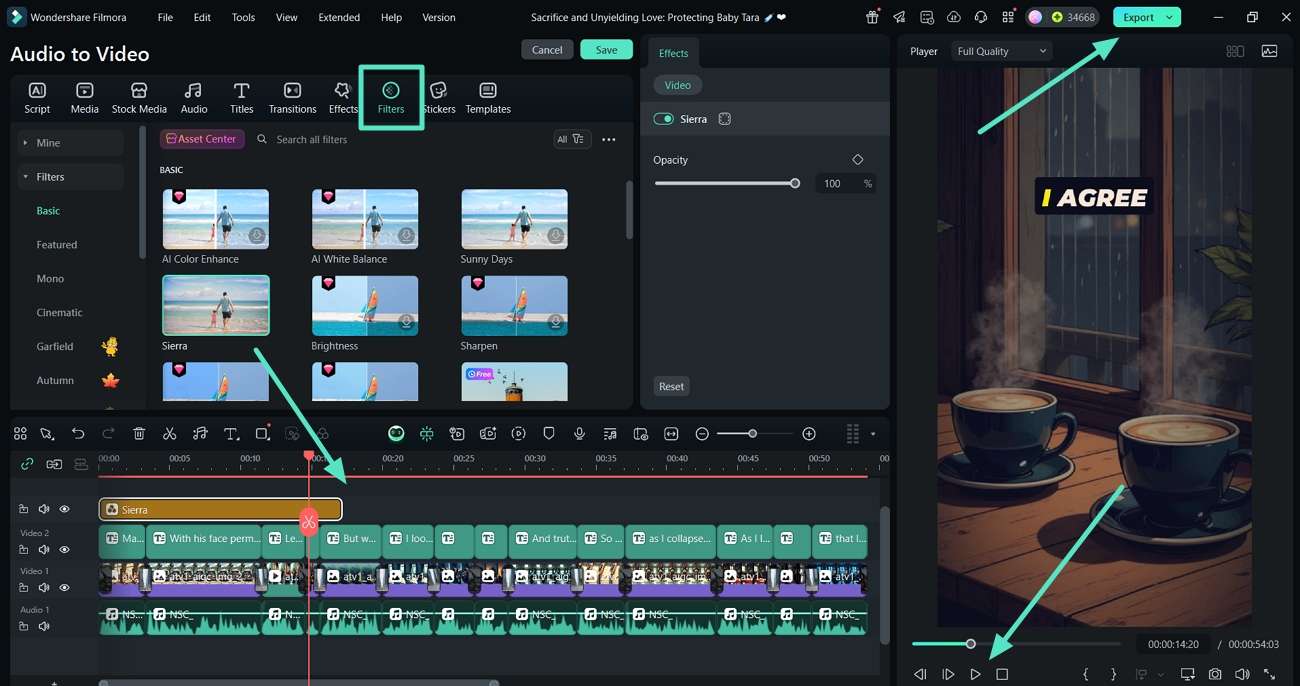 apply filters preview and export video
