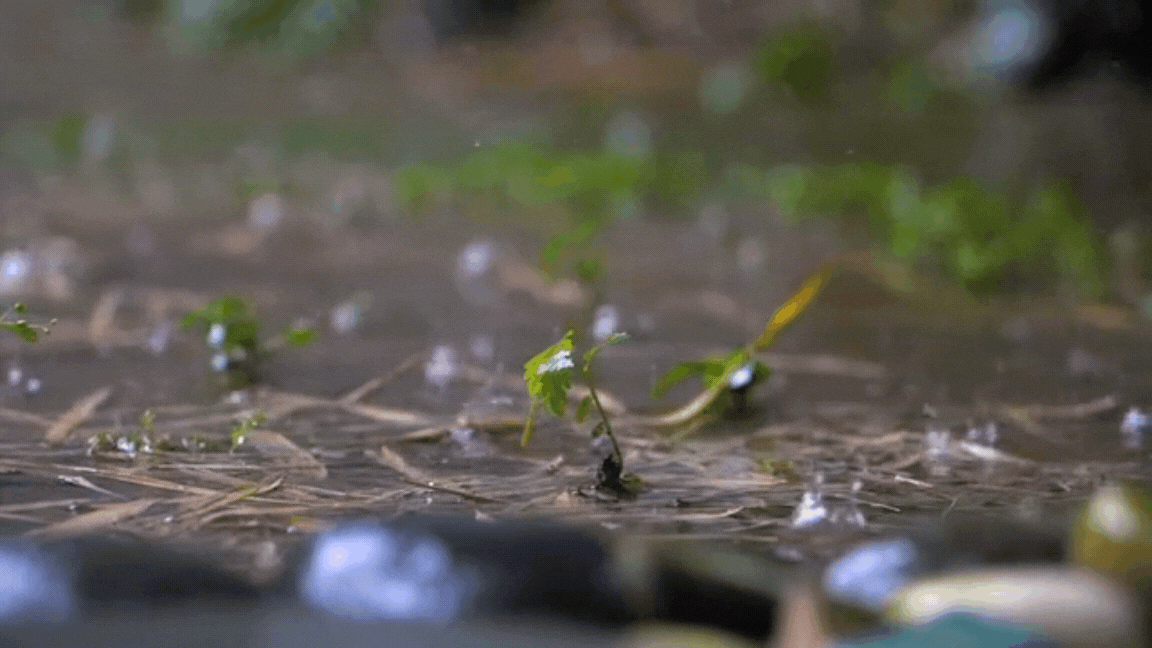 rain effect for video editing