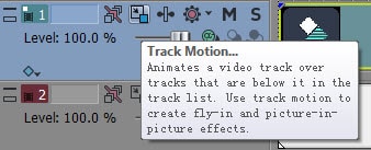 Video track information header 