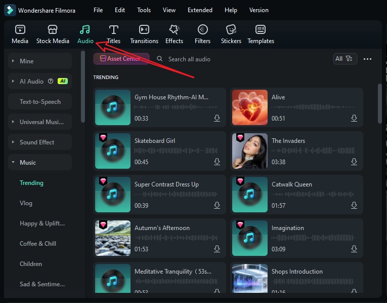 add audio or music to videos with watermark